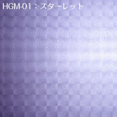 hgm01_gara_ime600.jpg