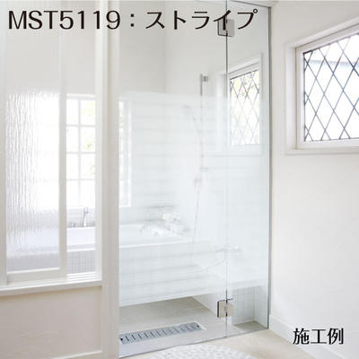 mst5119_ime600.jpg