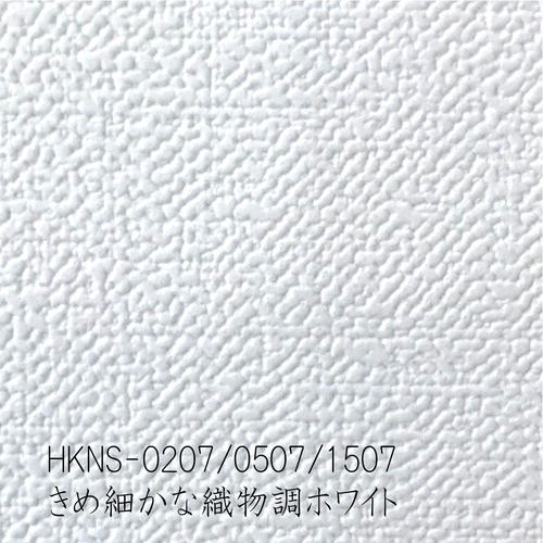 hkns0207_gara1000.jpg