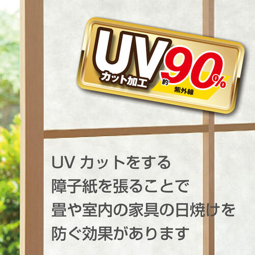 muji_uv.jpg