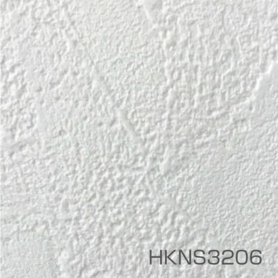 hkns3205_06gara.jpg