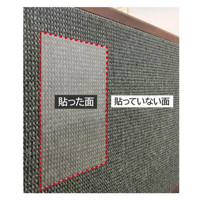 ecpcp04_03.jpg
