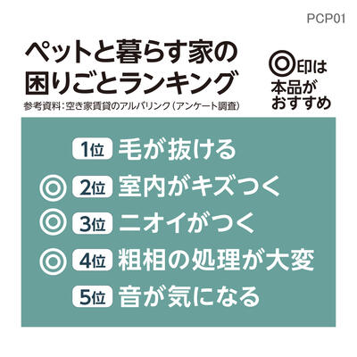 pcp01_03.jpg