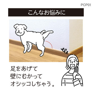 pcp01_04.jpg