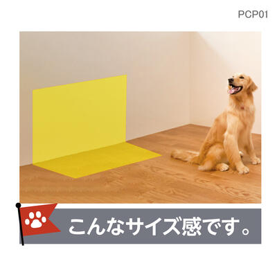 pcp01_05.jpg