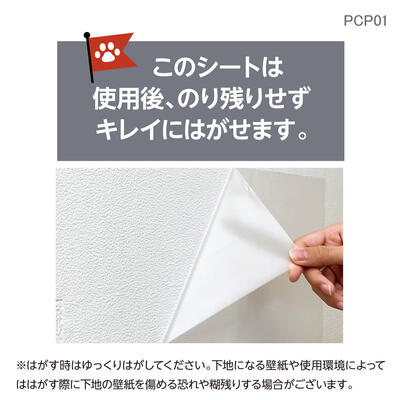 pcp01_06.jpg