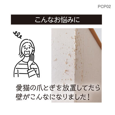 pcp02_04.jpg