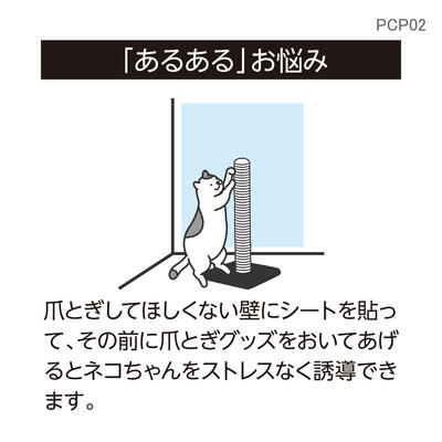 pcp02_05.jpg