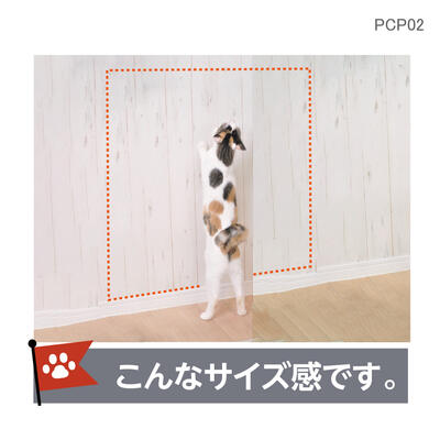 pcp02_06.jpg
