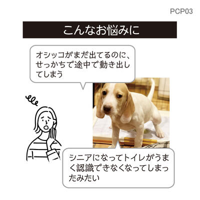 pcp03_04.jpg