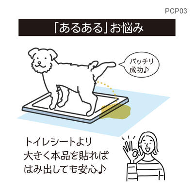 pcp03_05.jpg