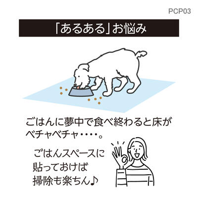 pcp03_06.jpg
