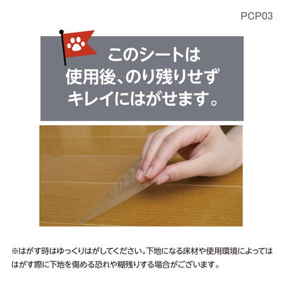 pcp03_07.jpg