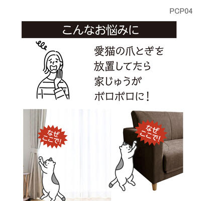 pcp04_03.jpg