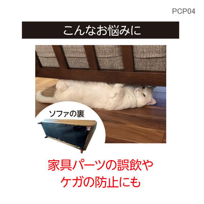 pcp04_04.jpg