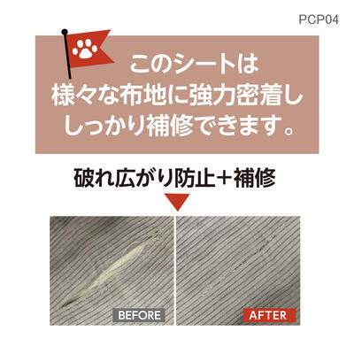 pcp04_05.jpg