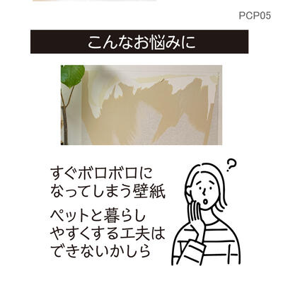 pcp05_04.jpg
