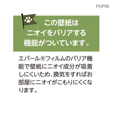 pcp05_05.jpg