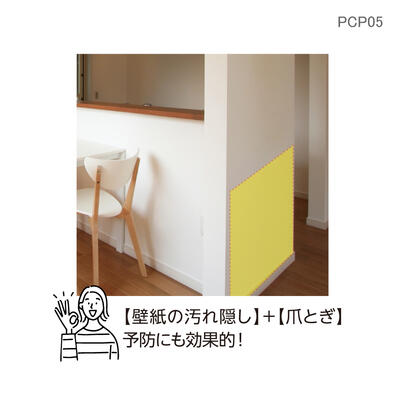 pcp05_07.jpg