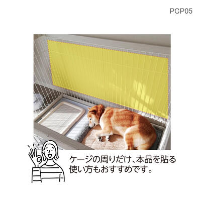 pcp05_08.jpg