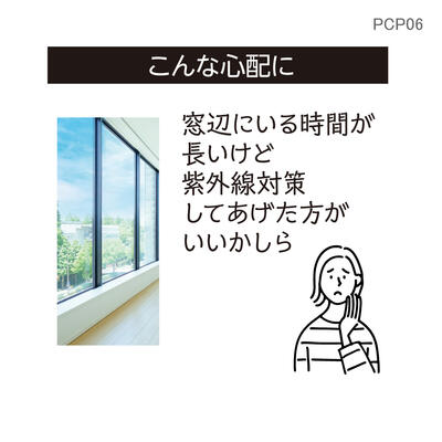 pcp06_04.jpg
