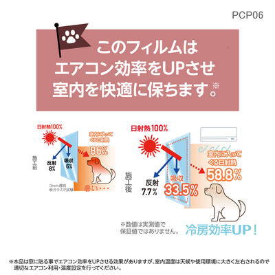 pcp06_06.jpg