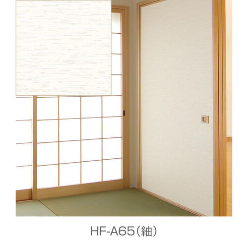 hfa65-01.jpg