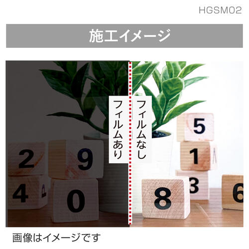hgsm02_02.jpg