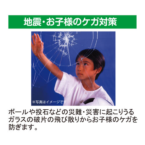 hgsm02_06.jpg