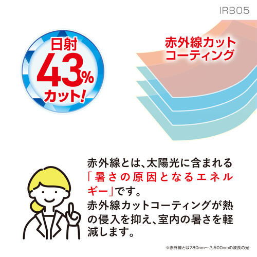 irb05_02.jpg