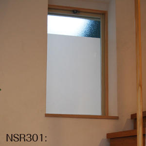 nsr301_ime600.jpg